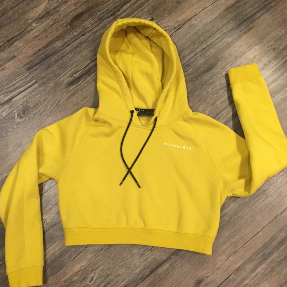 Alphalete crop hoodie